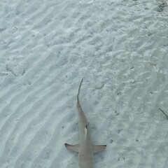 Хочу читать