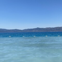 Летняя полка 2025