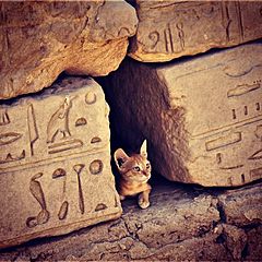 egypt