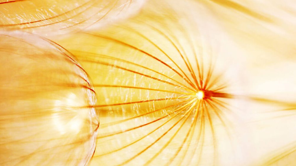 Художественная литература 