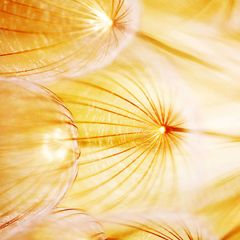 Художественная литература 