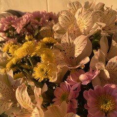 Главные книги юности 