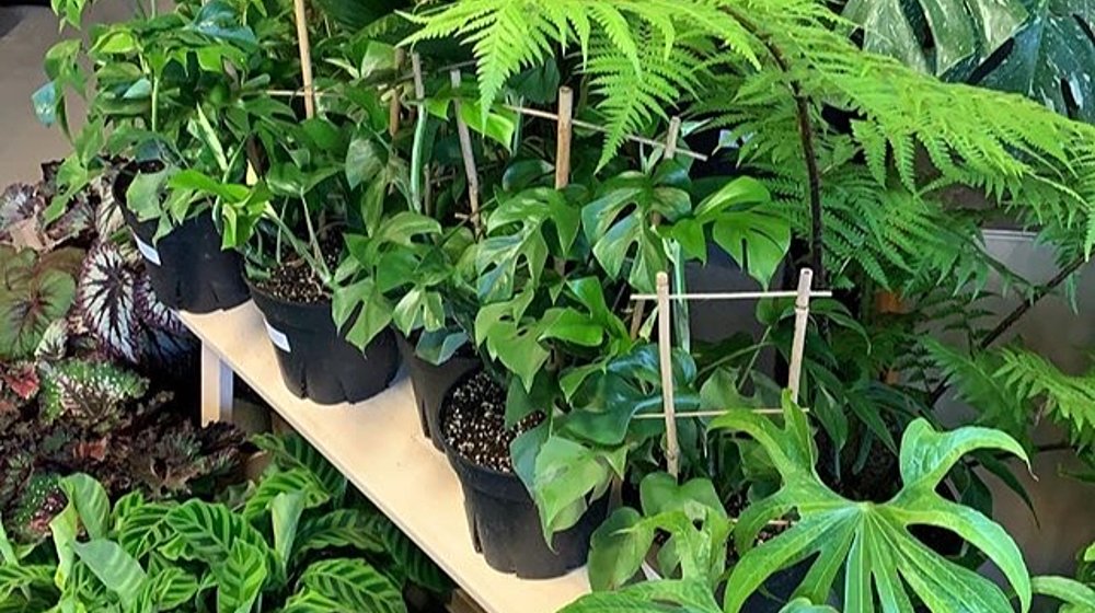 Личные финансы 