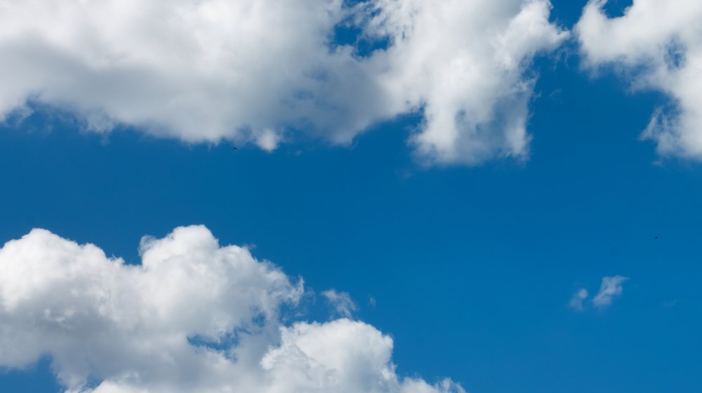 Школьная классика