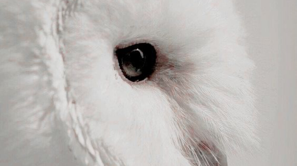 Психология