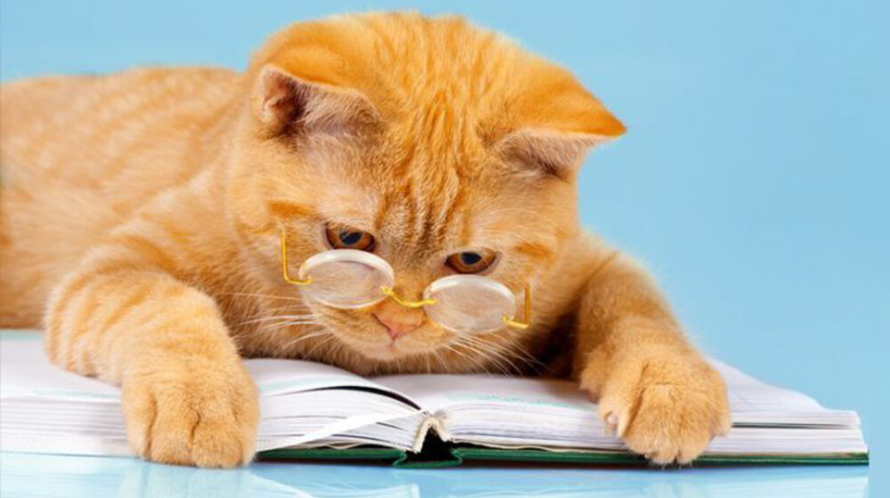 Книги о животных