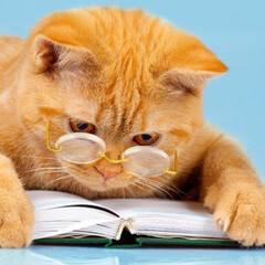 Книги о животных