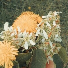 Өзіңді өзгерт н/е өзгермей дәл қазіргі сәтіңді жаңарт!