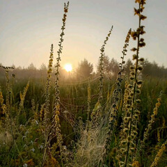 Читаю всякое