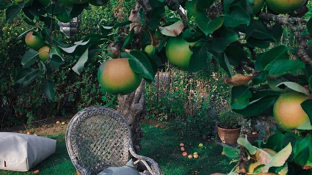 Современная русская проза