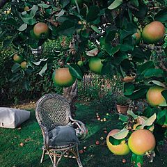 Современная русская проза