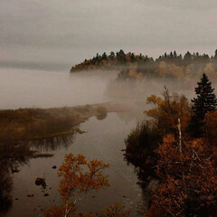 Осенние книги 🍂🦇