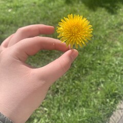 Умелая  собачка соня 🐶🐾🍒