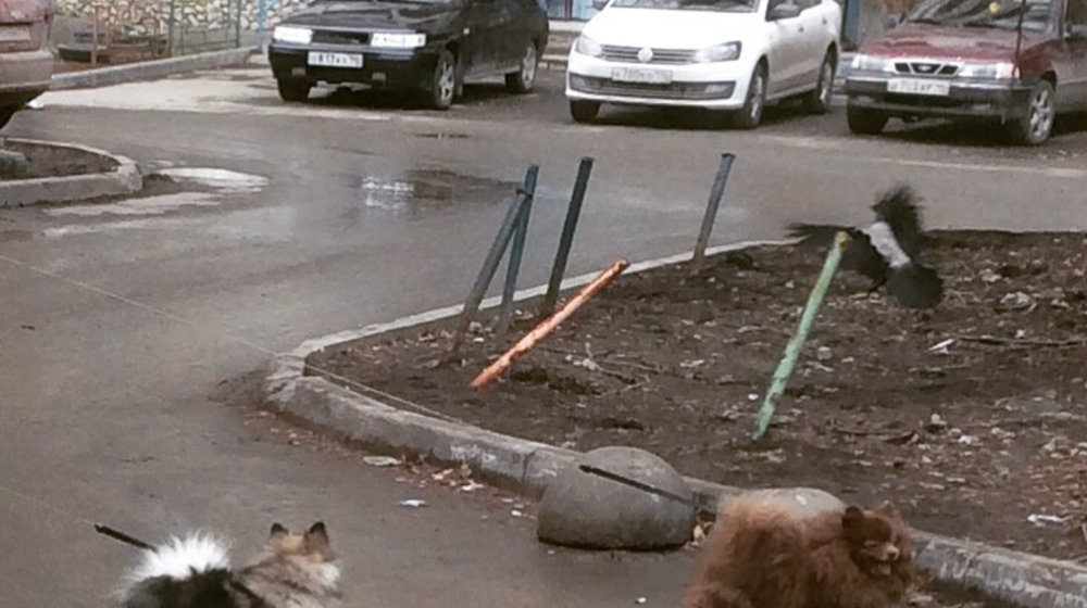  «съезди, отдохни»