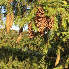 Биографии, мемуары