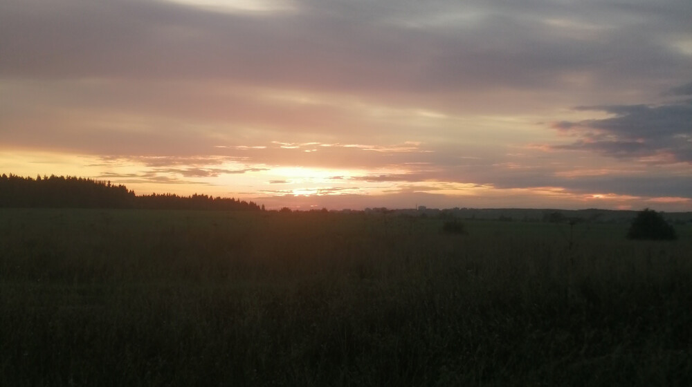 Про сирийников и криминал