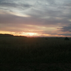 Про сирийников и криминал