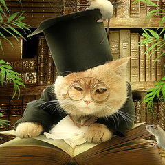 любимые книги