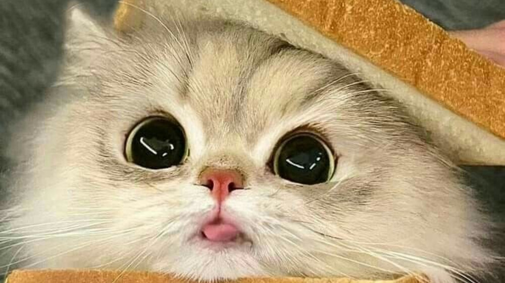 Манхва, манга, маньхуа