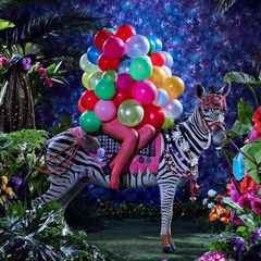 «Ткань процветания»: выбор куратора