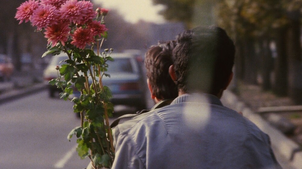 салям, синема