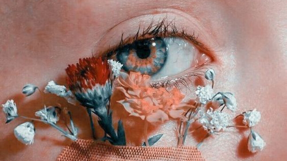 Лор писателя