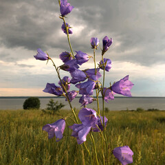 Прослушано 