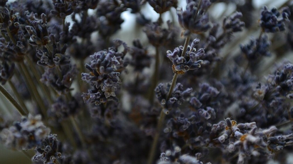 Летнее чтение