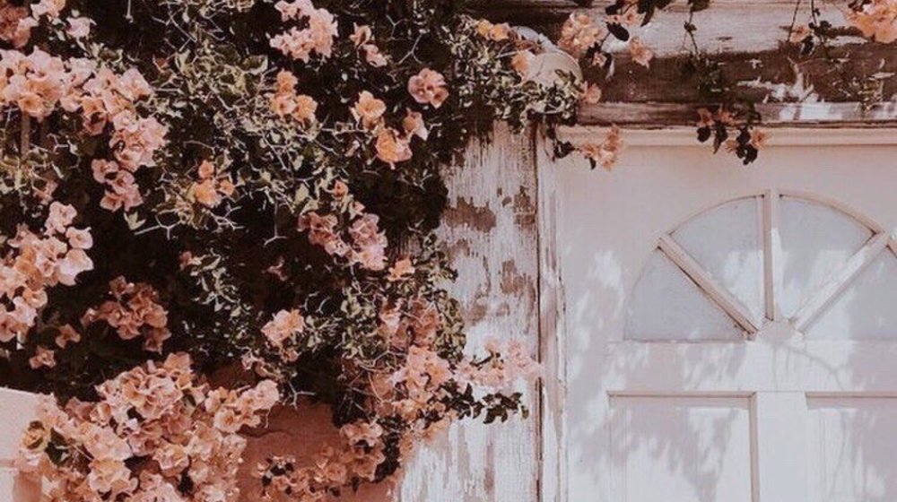 Русская классическая литература 