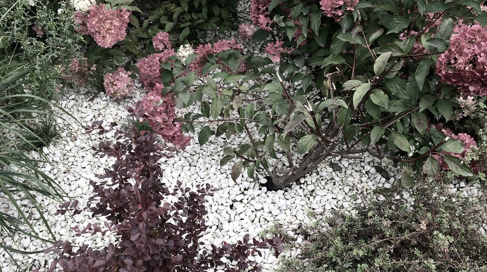 Дизайн и искусства