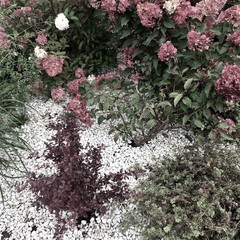 Дизайн и искусства