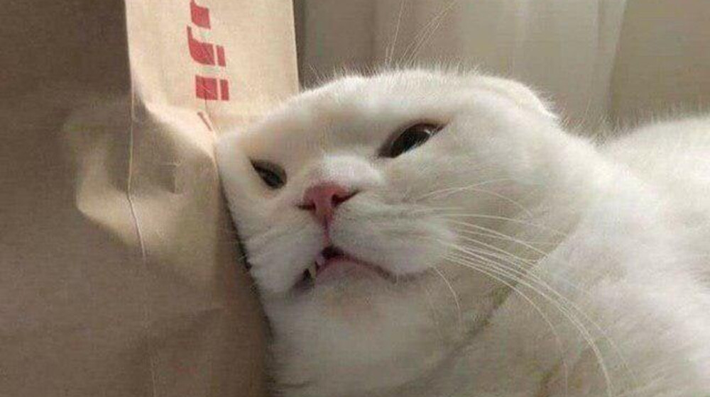 скучно и вообще так себе