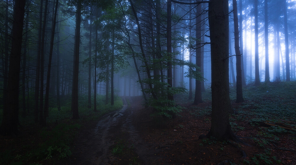 Тру-крайм по-русски