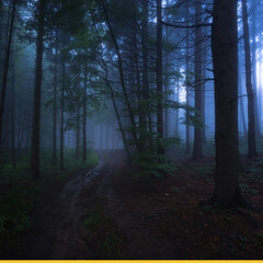 Тру-крайм по-русски