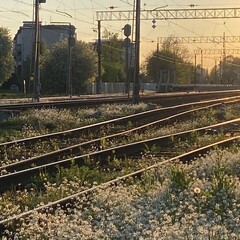 Потемки светлой души