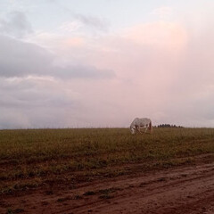 Очень хорошо