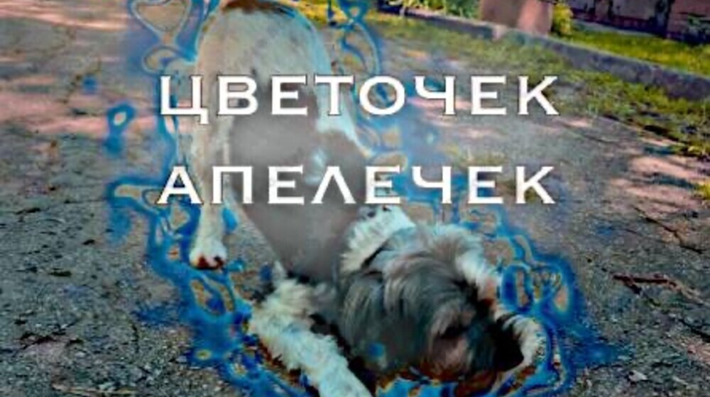 Смешные комиксы💗