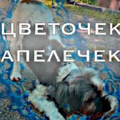 Смешные комиксы💗