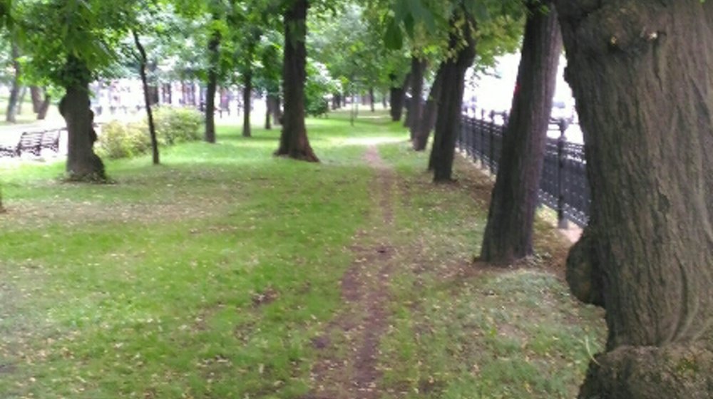 Современная литература