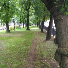 Современная литература