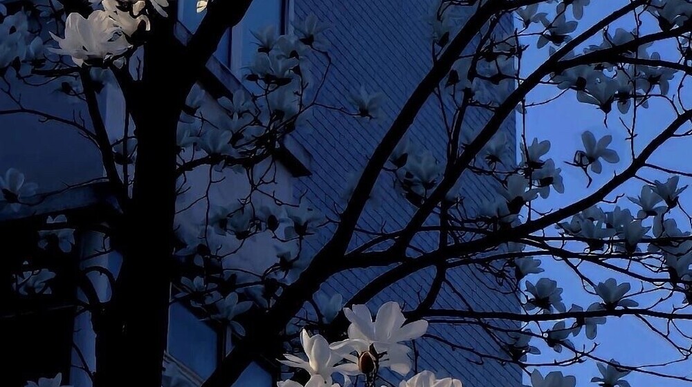 Интересненькое 