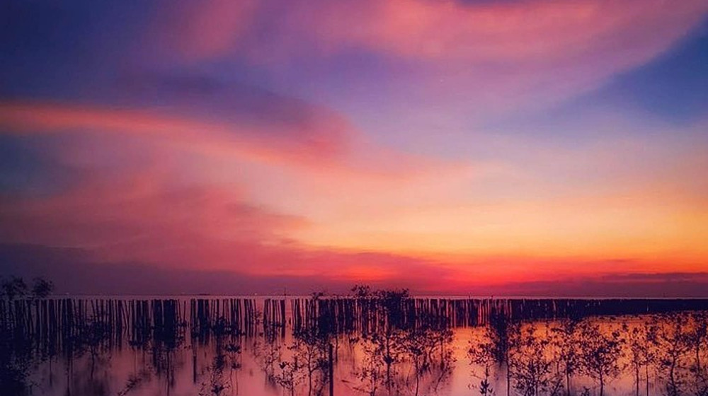 Катюшина полка