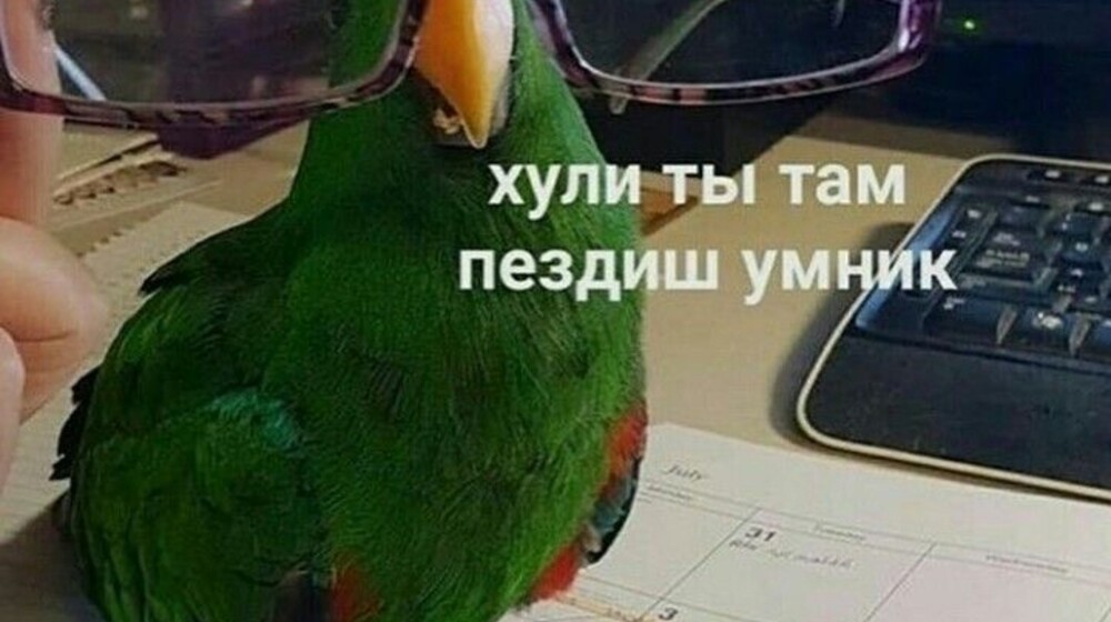 ЛВПГ и ОЧМЛ