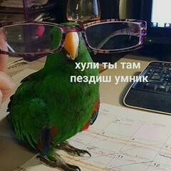 ЛВПГ и ОЧМЛ