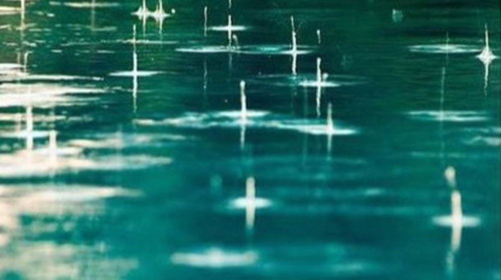 Джоан Виндж