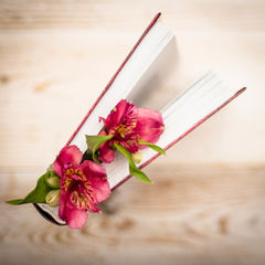 Впечатлившее в 2015