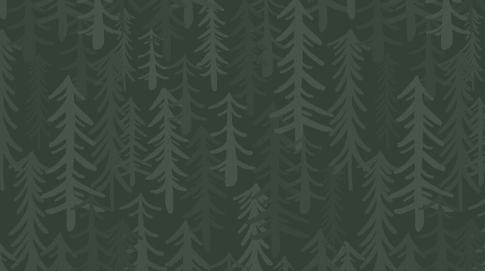 Рождество/ зима