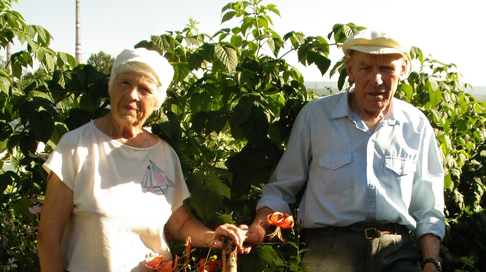 Садоводство и огородничество