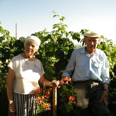 Садоводство и огородничество