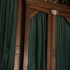 ☆Агата мистери☆